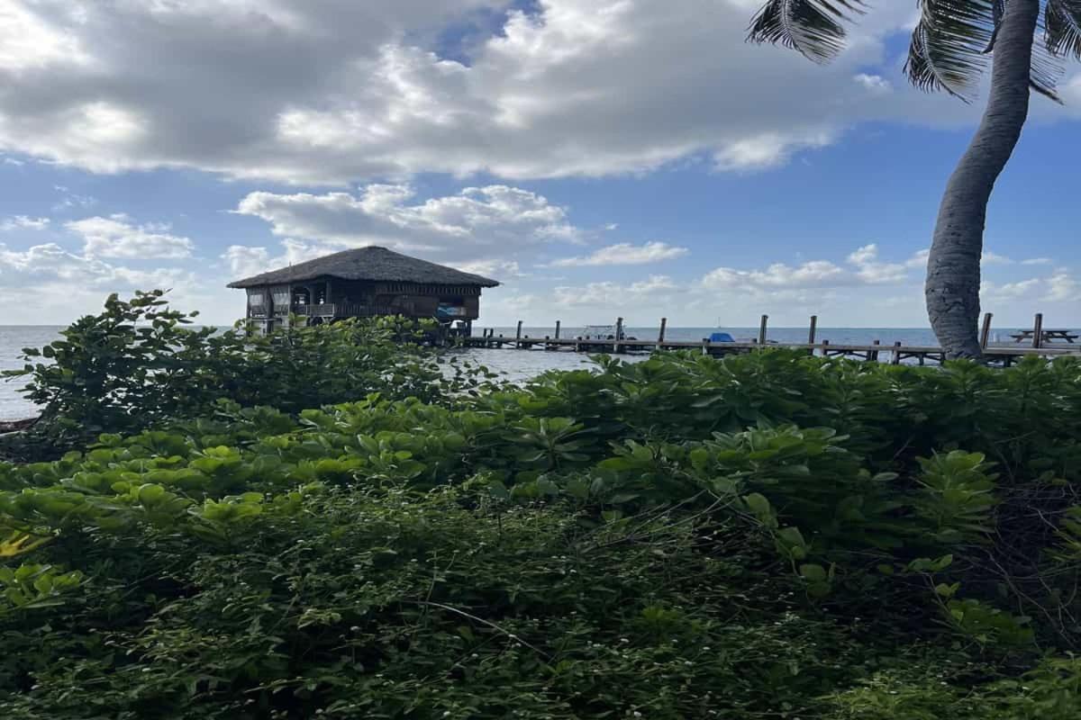 Residences At Barrier Reef 4C Oceanview 2 Bedroom By Stay Floreo San Pedro  Exterior foto