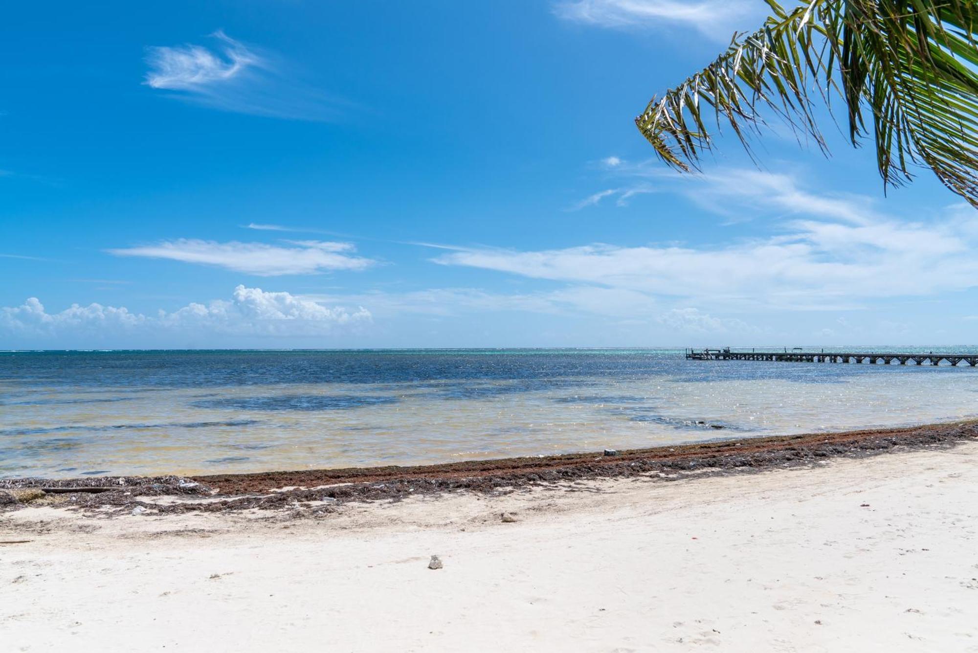 Residences At Barrier Reef 4C Oceanview 2 Bedroom By Stay Floreo San Pedro  Exterior foto